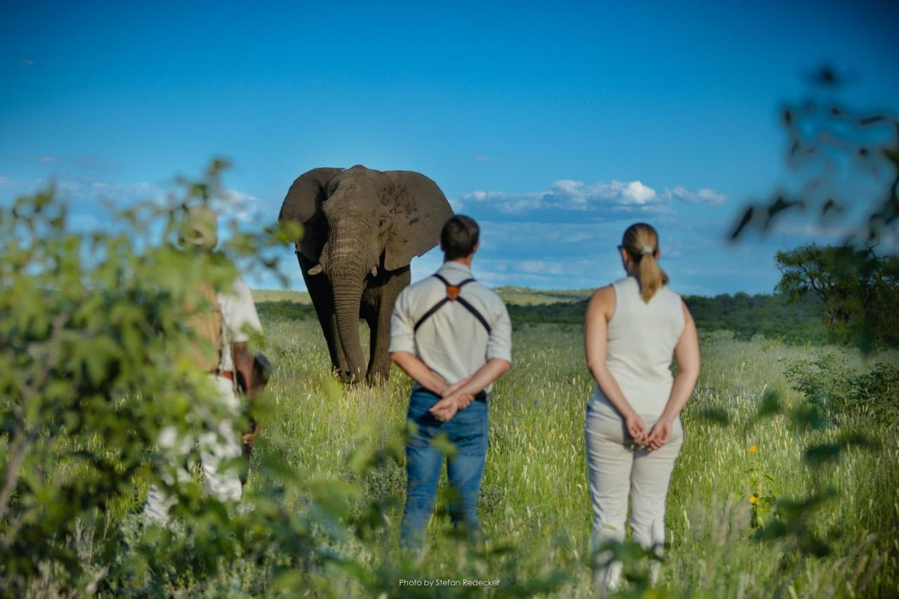 Anderssons At Ongava Villa Okaukuejo Eksteriør bilde